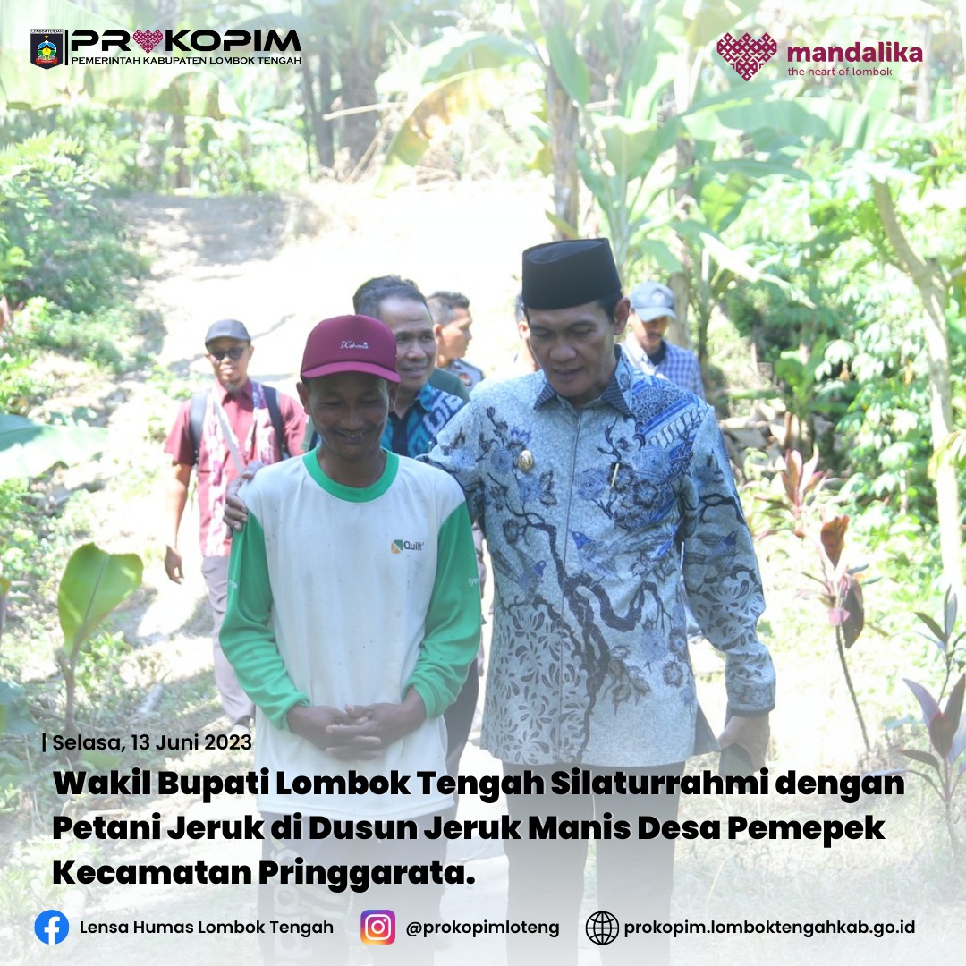 Wakil Bupati Lombok Tengah Silaturrahmi dengan Petani Jeruk di Dusun Jeruk Manis Desa Pemepek Kecamatan Pringgarata